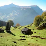 Aelpli By Interhome Grindelwald