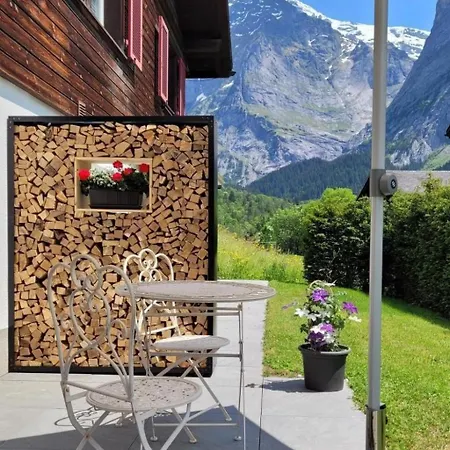 Aelpli By Interhome Lejlighed Grindelwald
