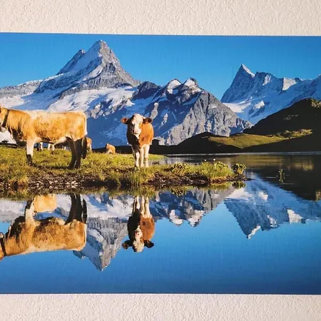 Apartmán Aelpli By Interhome *