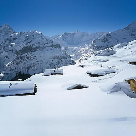 Aelpli By Interhome * Grindelwald