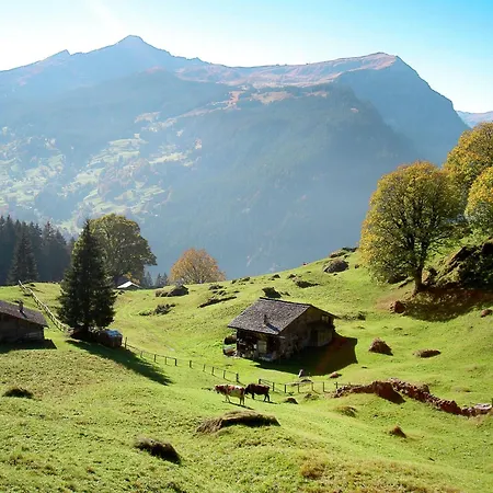 Aelpli By Interhome Grindelwald