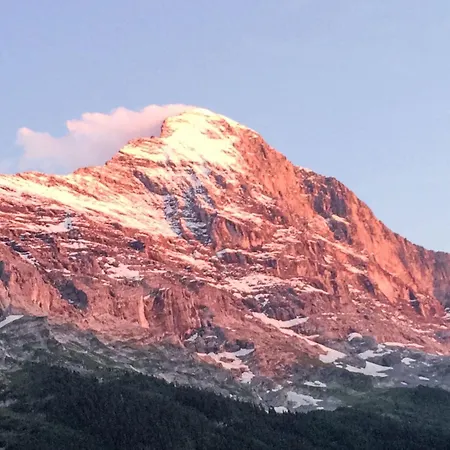 Aelpli By Interhome * Grindelwald