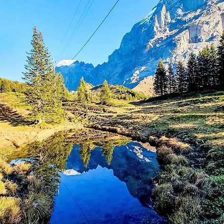 Aelpli By Interhome Lejlighed Grindelwald