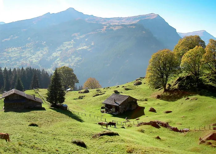 Aelpli By Interhome Grindelwald