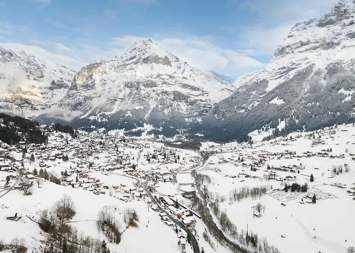 Aelpli By Interhome Apartamento Grindelwald